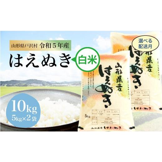 令和5年産 山形県戸沢村 厳選 はえぬき  10?（5kg×2袋） ＜配送時期指定可＞