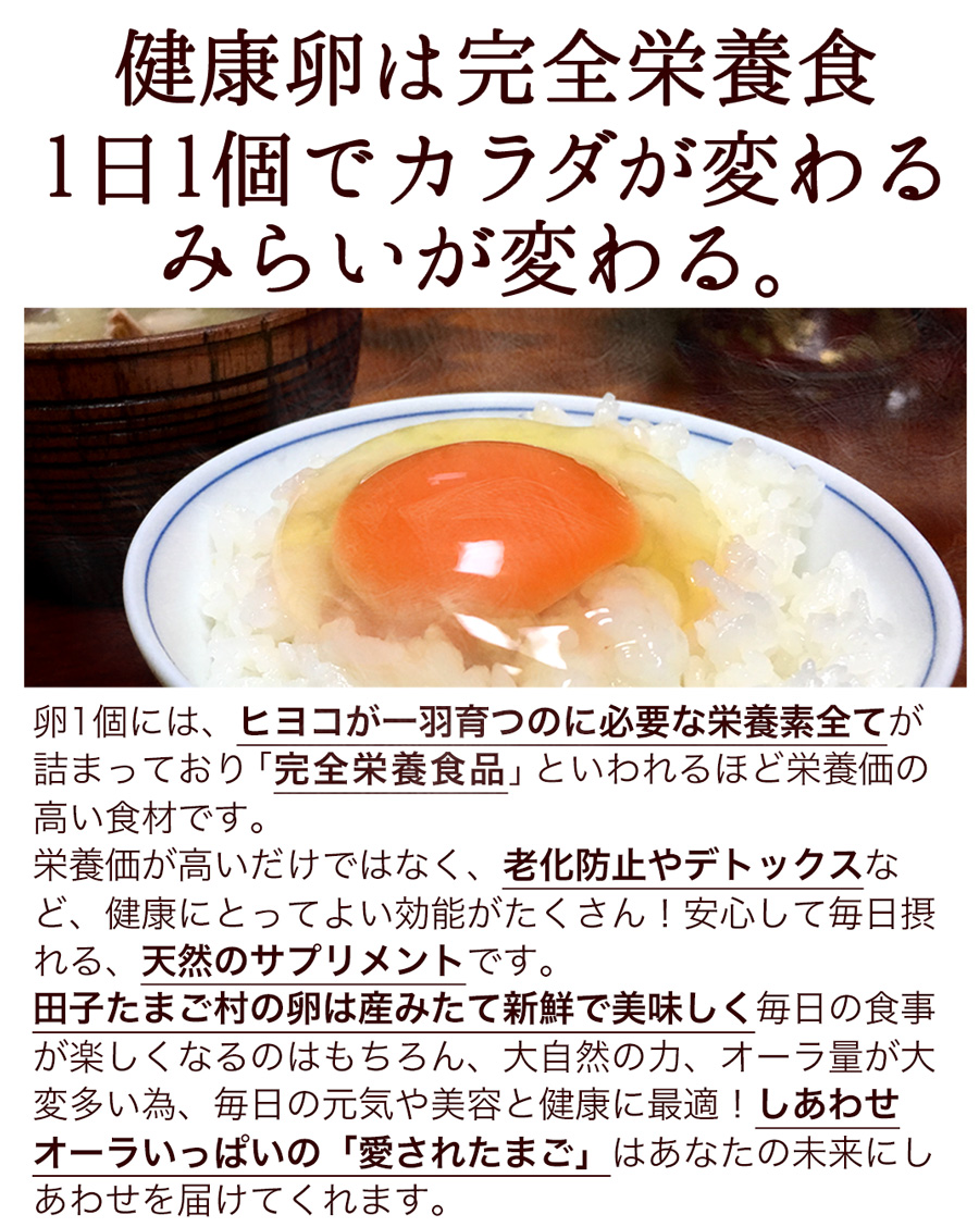 卵 にんにく卵 〔生卵75個入(生卵60個 破損保証15個)〕 玉子 たまご 高級 卵かけご飯 送別会 卒業 入学