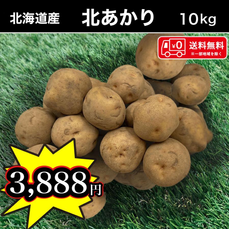 送料無料 北海道産 北あかり 10kg Mサイズ じゃがいも 馬鈴薯