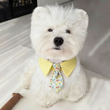 帥氣寵物狗狗圍脖貓咪圍兜假領帶 可愛圍巾豹紋碎花小狗裝飾品配飾