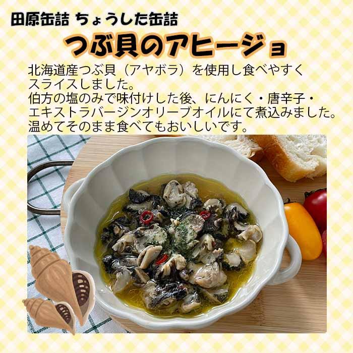 ちょうした缶詰 田原缶詰 オイル・水煮セット ４缶 新発売    のし・ギフト・サンプル各種対応不可