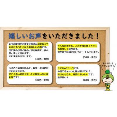 ふるさと納税 御嵩町 飛騨牛　A5等級　大容量　「肉のキング」特選飛騨牛ステーキ用(サーロイン800g)