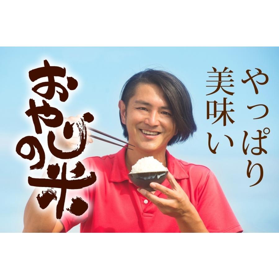 JAS有機 食べ比べセット　コシヒカリ・つや姫 (2kg×2品種) 令和５年産 おやじの米 山形県鶴岡産 JAS有機栽培米 白米