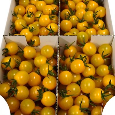 ふるさと納税 足利市 栃木県足利産こだわりミニトマト　甘さいっぱい「純愛トマト」2kg