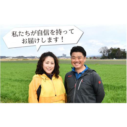 ふるさと納税 福井県 あわら市 《定期便12回》特別栽培米 コシヒカリ 5kg × 12回 （計60kg） 無洗米 低農薬 ／ 福井県 あわら市 ブランド米 白…