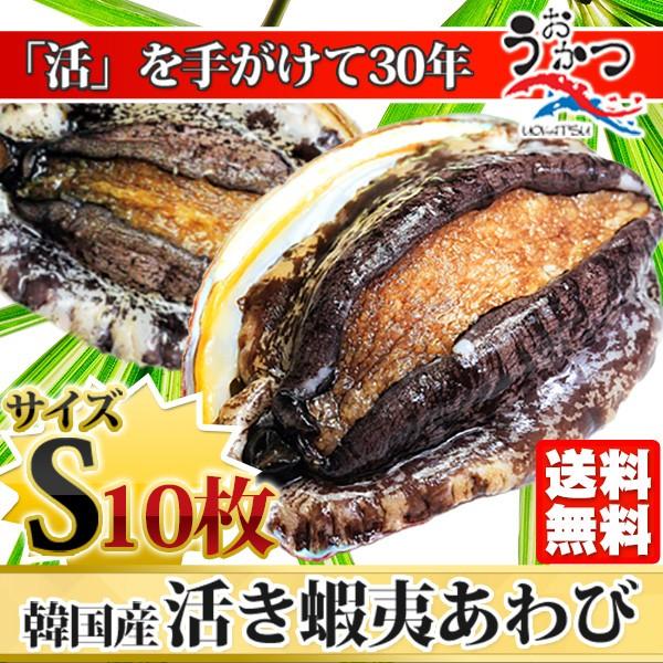 活蝦夷あわび（50 60g）10枚入 お中元・お歳暮ギフトにも最適 送料無料 BBQに！