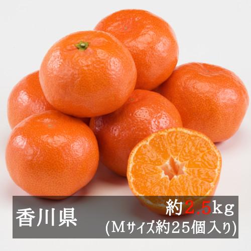 金時紅みかん（小原紅早生） 約２.５ｋｇ Ｍサイズ２５個入り 香川県産