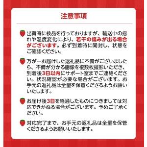 ふるさと納税 あまおう 約270g 4パック×3回 計12パック_Fi301_定期便 3回 いちご あまおう 約270g×4パック × 3.. 福岡県久留米市