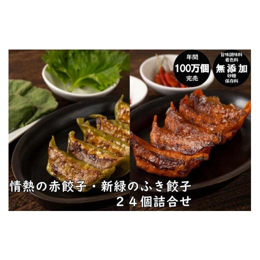 ふるさと納税 秋田県 秋田市 年間100万個完売！餃子の餃天