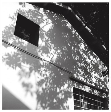 馬芊伶的攝影作品-無題-單張(明信片 / 畫卡 / 收藏品)