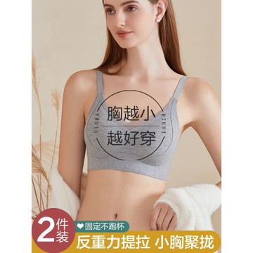 反重力提拉內衣女小胸聚攏收副乳防下垂上托調整型矯正塑形文胸罩