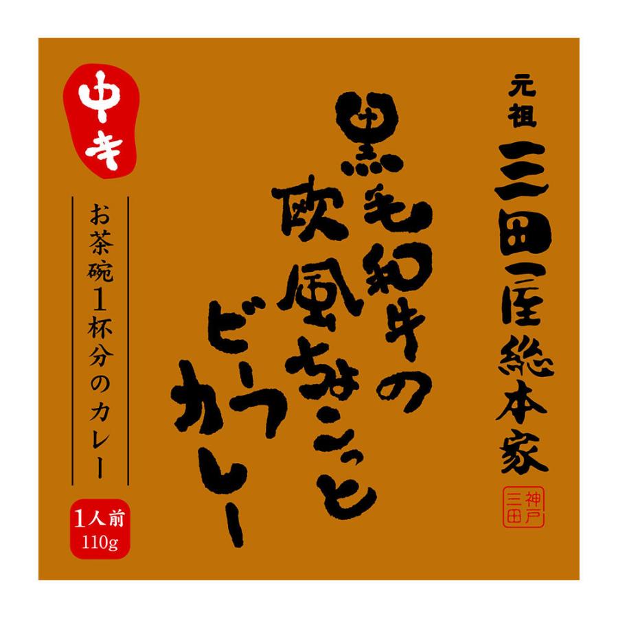 三田屋総本家　黒毛和牛の欧風ちょこっとビーフカレー中辛（40食）