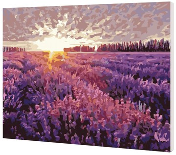 WallFree  DIY手繪數字油畫 掛畫-薰衣草