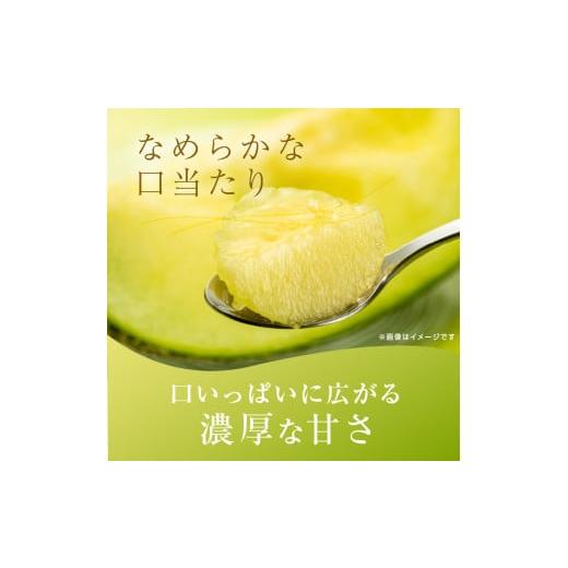 ふるさと納税 茨城県 鉾田市 上品な甘さ「イバラキングメロン／優品」1箱（3〜4個入）