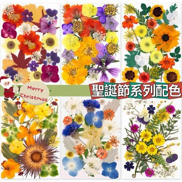 聖誕節系列 大花包組合 真花壓花 永生花 森林系 少女寫真 壁畫 DIY水晶滴膠 乾燥花 植物標本