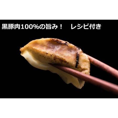 ふるさと納税 お肉ぎっしり！黒豚ギョーザ45個　ぎょうざ　餃子　ギョウザ　豚肉　豚　北海道豚　 北海道池田町