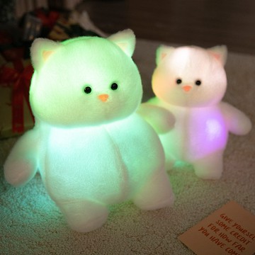 新品🚀🚀✨發光白色胖貓毛絨公仔 LED炫彩發光貓咪毛絨玩具