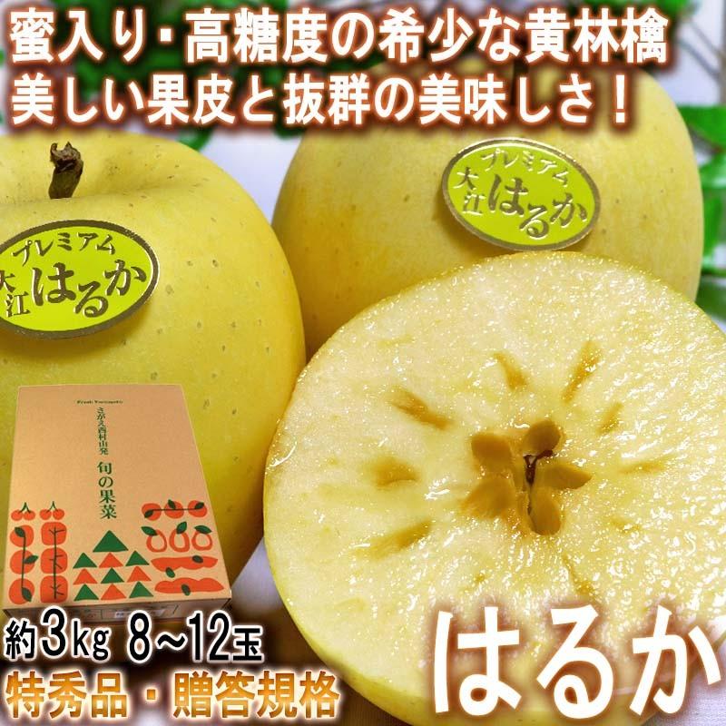 はるか 蜜入り黄りんご 約3kg 8〜12玉入り 特秀品 山形県産 贈答品 JAさがえ西村山 高い糖度と酸味の少ない果肉！国内屈指の林檎産地で育った味わい抜群のリンゴ