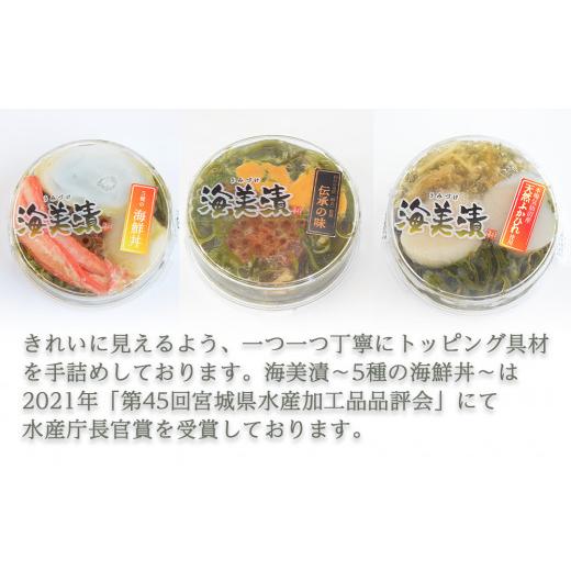 ふるさと納税 宮城県 名取市 丼ぶりご飯に乗せるだけで 簡単 海鮮丼! 海美漬 豪華な 3種 詰合せ