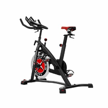 JOHNSON Schwinn 700IC 飛輪健身車