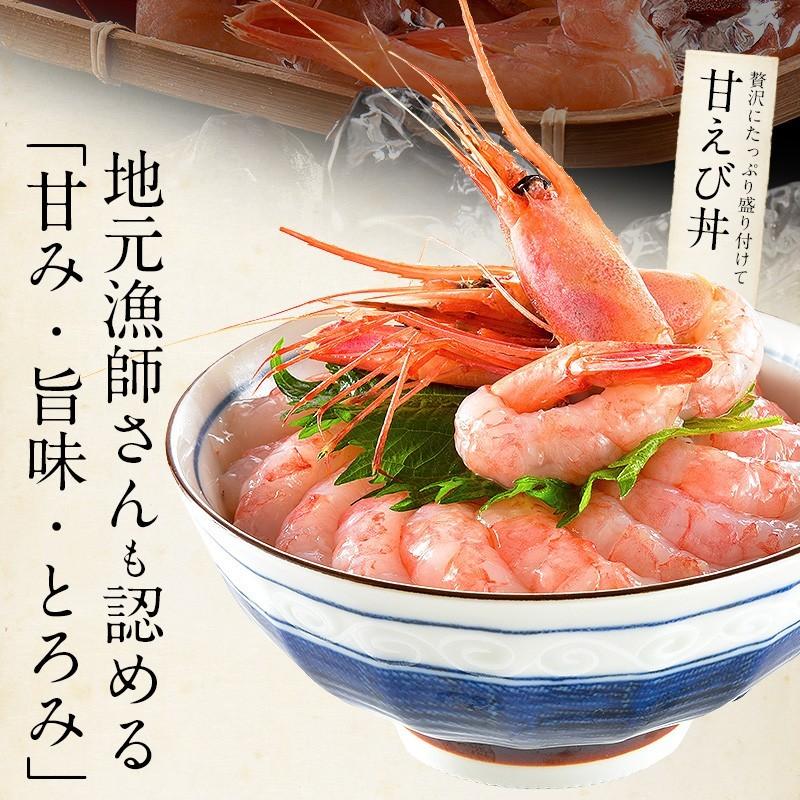 甘エビ 甘えび 子なし 小サイズ 1kg（500g×2箱）約80〜100尾入り 刺身用 越前産 甘えび 海老 えび エビ 贈り物 お祝い プレゼント 冬グルメ 冬ギフト