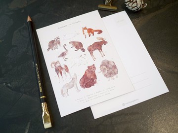 加拿大 動物 明信片