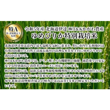 ふるさと納税 2ヵ月 定期便 北海道 伊達産 ゆめぴりか 10kg 精米 北海道伊達市