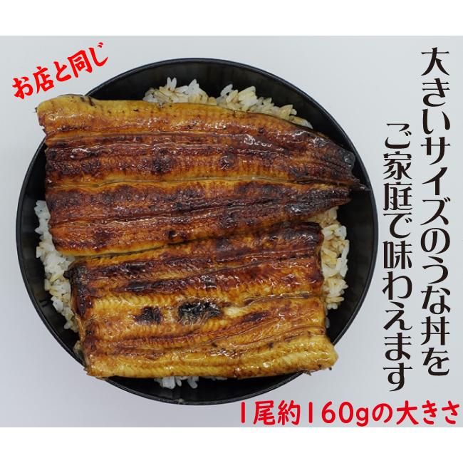 手焼き　国産鰻蒲焼１尾　和柄ハンカチでラッピング　送料無料　冷蔵クール便　ギフト　お祝い　誕生日　贈りもの