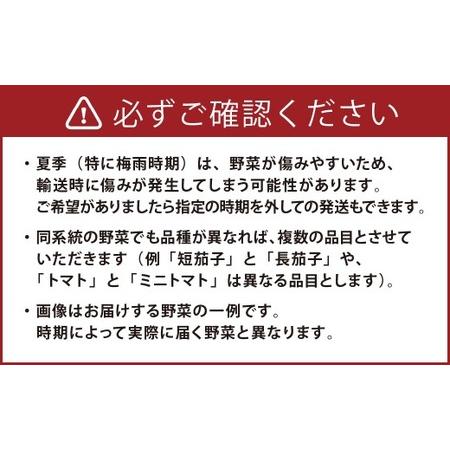 ふるさと納税 野菜のプロ40年が届ける 厳選野菜セット！ 野菜・フルーツ 15〜16品目 詰め合わせ 長崎県時津町