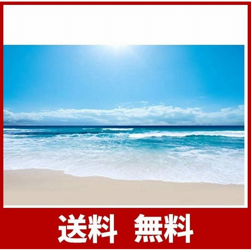 東宝 タペストリー インテリア 横幅150cm 縦幅100cm 布ポスター ハワイ 沖縄 海 砂浜 太陽 青空 夏 風景 景色 おしゃれ 落ち着く 通販 Lineポイント最大0 5 Get Lineショッピング