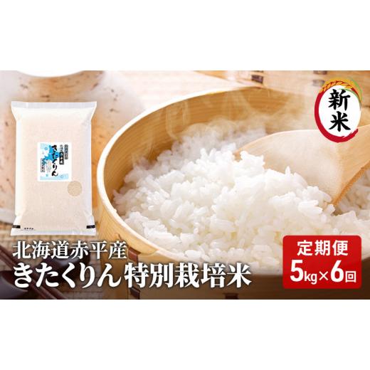 ふるさと納税 北海道 赤平市 北海道赤平産 きたくりん 5kg 特別栽培米  精米 米 北海道 定期便