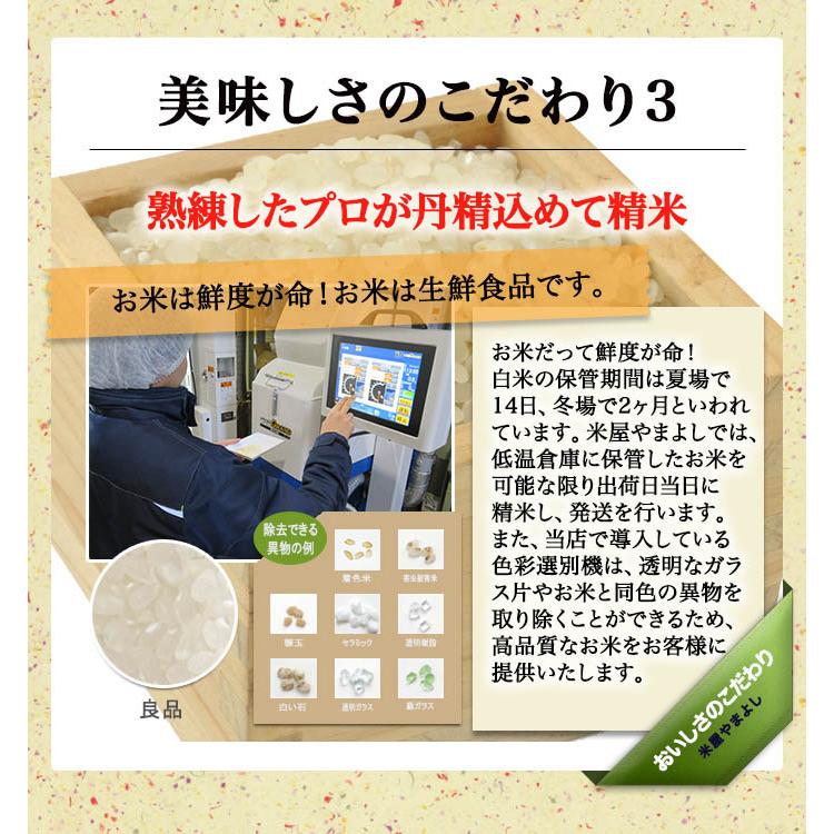  新米 お米 令和5年産 福島県中通り産ひとめぼれ白米10kg(5kg×2個)  送料無料 ※一部地域を除く