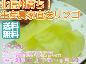 信州産 減農薬無袋栽培 サンふじ中級ランク約4.5～5ｋｇ（10～20玉）ギフト プレゼント 自家用＆贈答用向