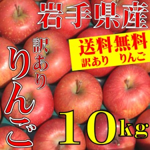 りんご 訳あり 岩手県産 10kg