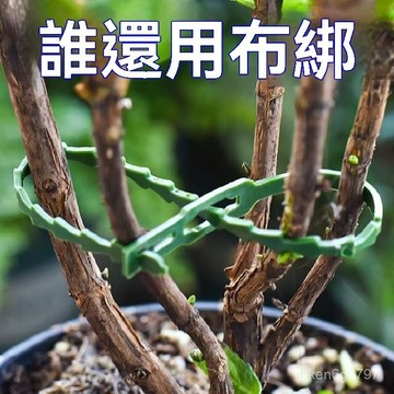 🛒台灣隔日達🏵️可調節 魚骨紮帶 捆綁綫 多用途園林綁樹藤蔓植物固定園藝可拆卸紮綫 11EB