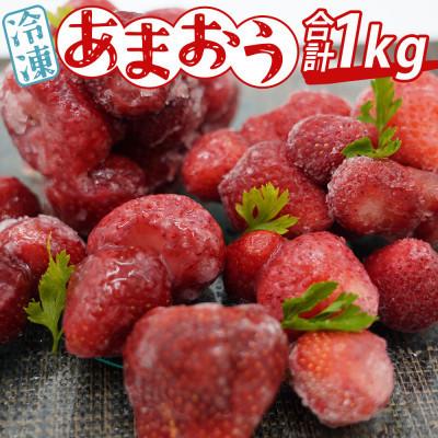 ふるさと納税 赤村 あかい・まるい・おおきい・うまい「博多あまおう」の冷凍あまおう　合計1kg(赤村)