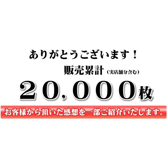  お正月 のし餅 2kg 杵つき のしもち 無添 令和5年産 みやこがね 1升 送料無料