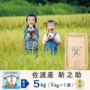  佐渡島産新之助 玄米5Kg