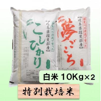 ふるさと納税 池田町 特別栽培米20kg(コシヒカリ 夢ごこち)