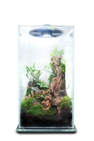 【訂製】蕨醒科技生態瓶-科技方缸(大)