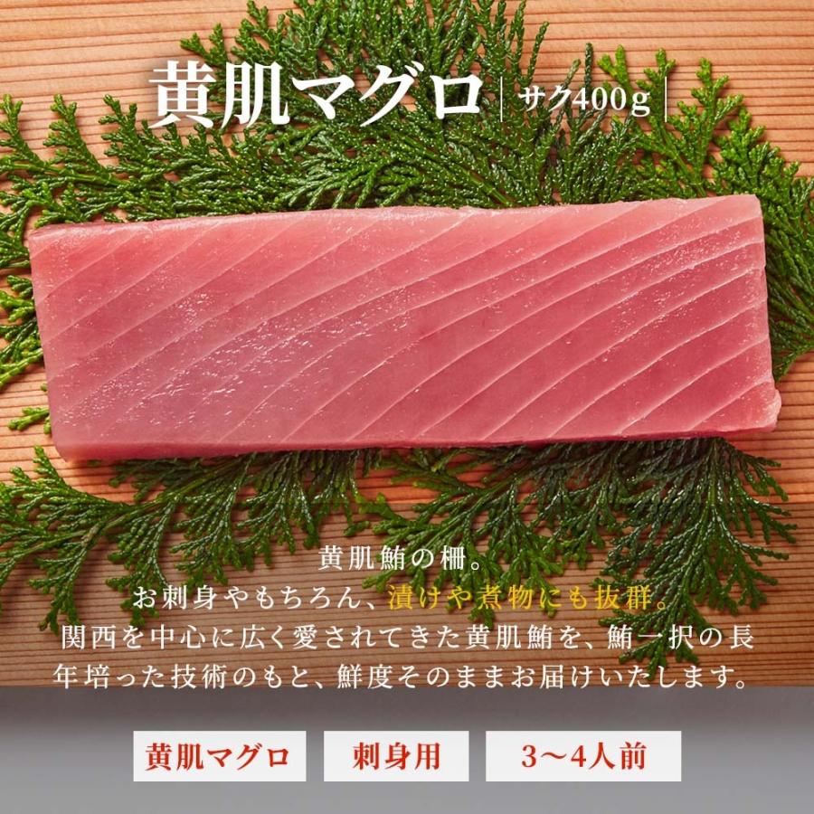 マグロ 刺身 黄肌マグロ 柵 サク 400g 3~4人前相当 刺身用 お取り寄せ 冷凍鮪 黄肌鮪