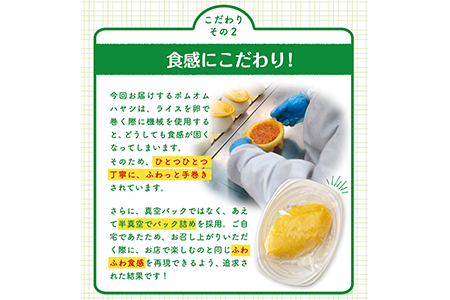 ポムオムハヤシ15食セット《90日以内に順次出荷(土日祝除く)》和歌山県 紀の川市 株式会社ポムフード