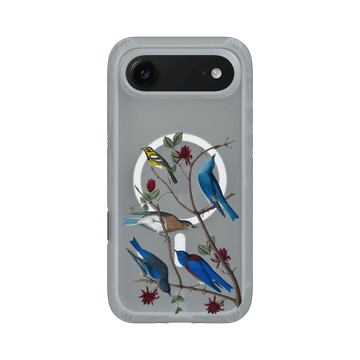 iPhone Air AirX 流變灰 - The British Library - 美洲鳥譜 ‧ 唐氏鶲鶯與藍鳥