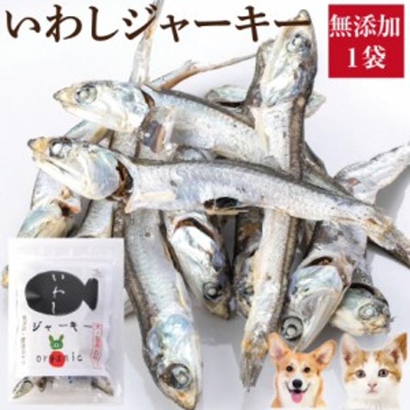 犬 猫 無添加 おやつ いわし ジャーキー 国産 魚 通常便 通販 Lineポイント最大1 0 Get Lineショッピング