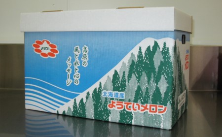 北海道 赤肉メロン 約1.6kg 2玉 メロン 赤肉 果物 フルーツ 甘い 完熟 スイーツ デザート 産直 国産 贈答品 お祝い ギフト羊蹄山 JAようてい 送料無料 北海道 倶知安町