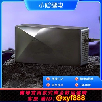 {公司貨 可打統編}小哈鋰電池充電器隨車沖和智能快充/大炮充電器