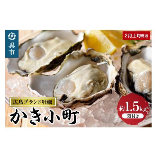 ふるさと納税 広島県 呉市 丸十水産 広島ブランド牡蠣 殻付き かき小町 約1.5kg  (8〜10個)