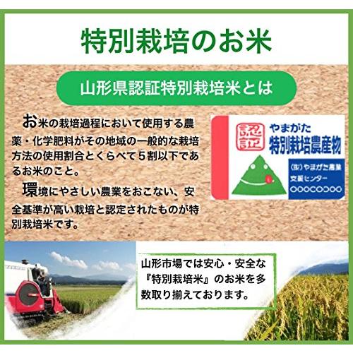  山形県産 はえぬき 新米 令和5年産 5kg 「市場に出回らない、隠れた美味を是非。」