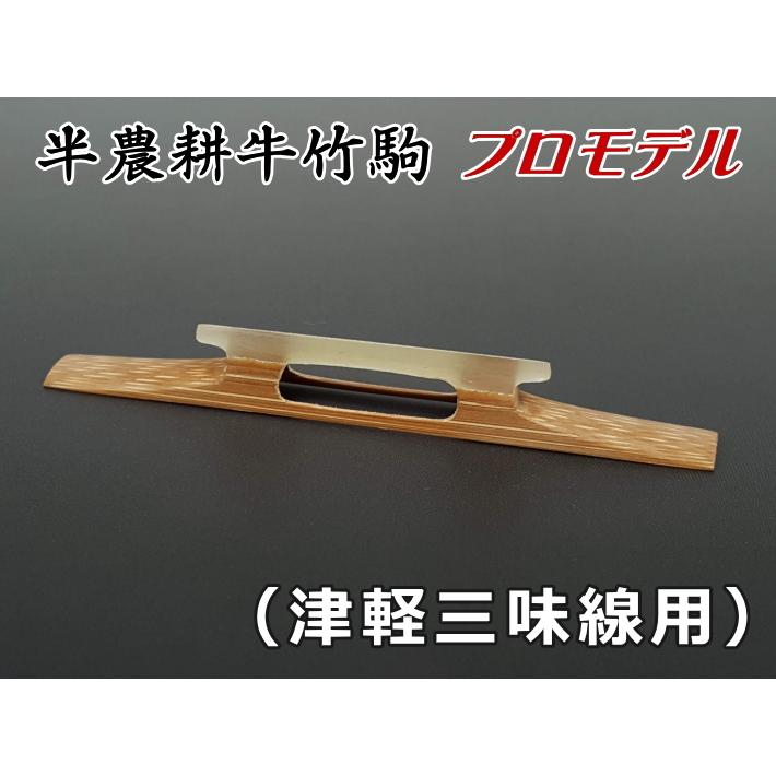 津軽三味線用エレキ三味線キット - 和楽器