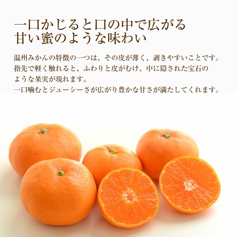 みかん 温州みかん 4.5kg 進物用 手詰め品 約40~50玉 愛媛県産みかん 産地直送 送料無料 お歳暮 2023 お歳暮2023 ギフト グルメ